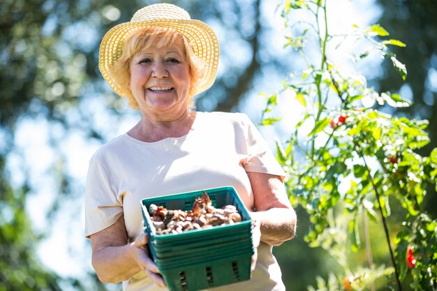 Senior woman holding crate of snail in garden