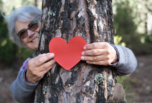 Donna anziana che tiene una carta a forma di cuore sul tronco dell'albero, salva gli alberi dal concetto di deforestazione