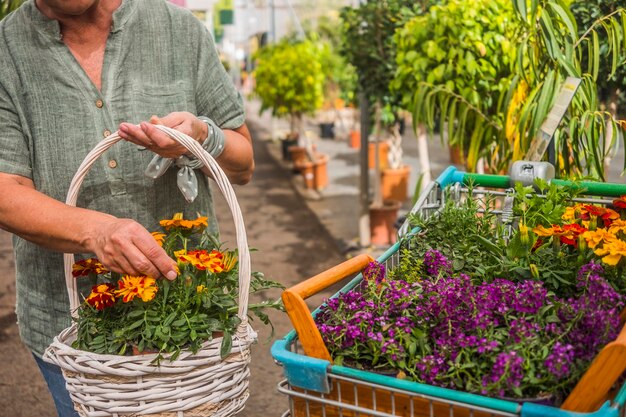 A senior woman makes purchases in the nursery She pushes a cart full of flowering plants and herbs