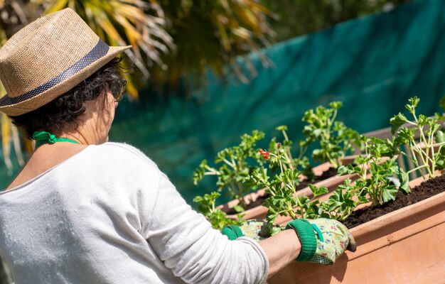 年配の女性が屋外の鉢植えのゼラニウムの花