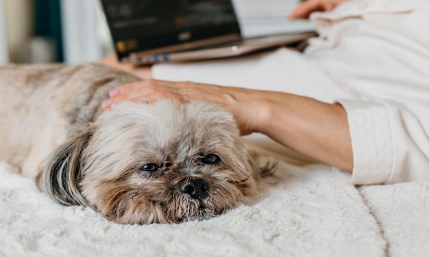 Photo senior woman relaxing with her dog