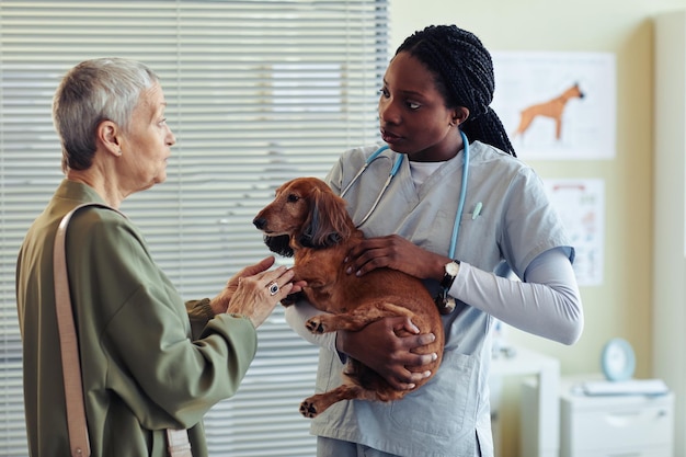 Senior Woman Talking to Veterinarian in Vet Clinic