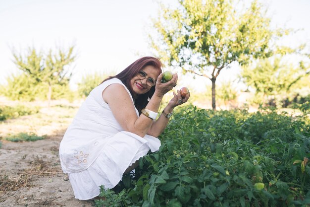 Donna anziana in un orto che raccoglie pomodori