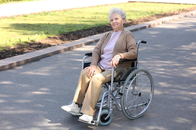 晴れた日に公園で車椅子の年配の女性