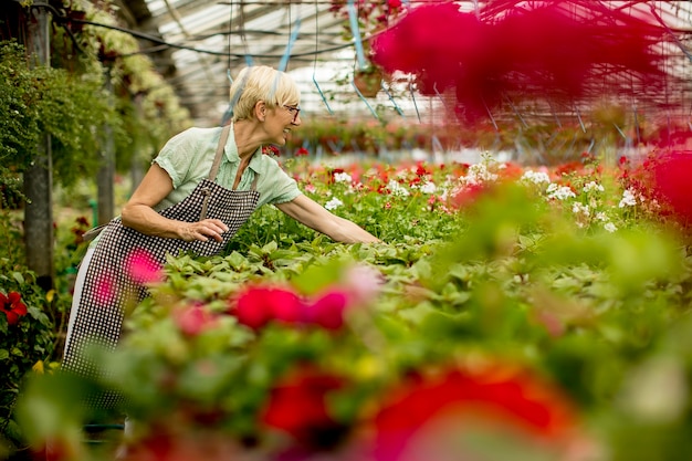 写真 花の庭で働く高齢の女性