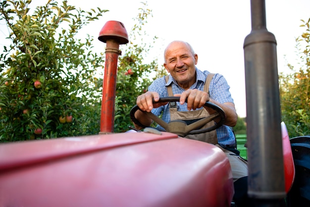 Старший рабочий за рулем своего старого трактора в стиле ретро через яблоневый сад.