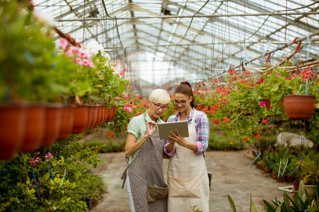 デジタルタブレットを見てシニアと若い現代の花屋の女性