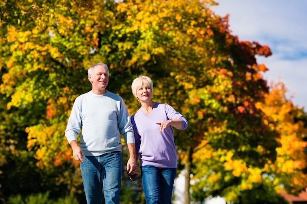 Senioren in de herfst of herfst lopen hand in hand