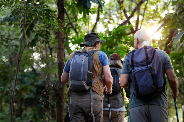 Seniors trekking in a forest