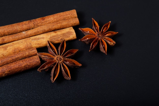 Sense of Spices star anise and cinnamon on black background with copy space