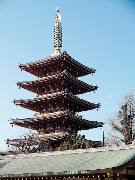 写真 東京都の浅草寺の風景