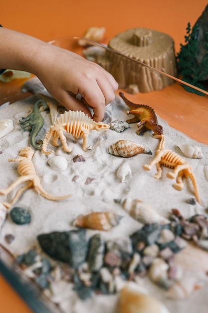 Photo sensory bin for childs play closeup dinosaur and shells excavation