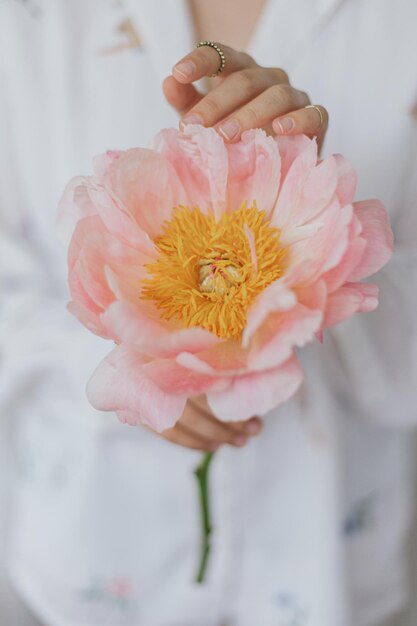 손에 분홍색 모란과 관능적 인 아름다운 여자 부드러운 부드러운 이미지 봄의 미학