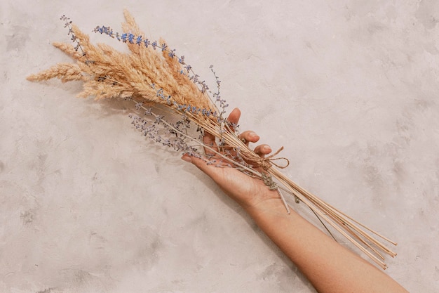 Sensual delicate beige wooden background delicate dry flower in hand Baner copy space