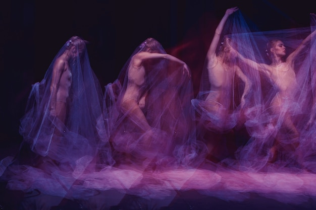 Sensual and emotional dance of beautiful ballerina through the veil