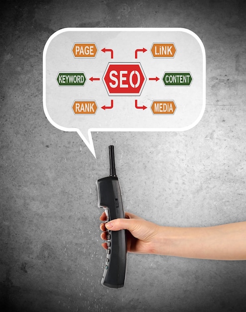 Seo infographic