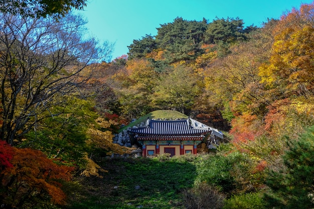 Foto grotta di seokguram in autunno