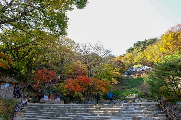 Photo seokguram grotto world heritage in gyeongju,south korea