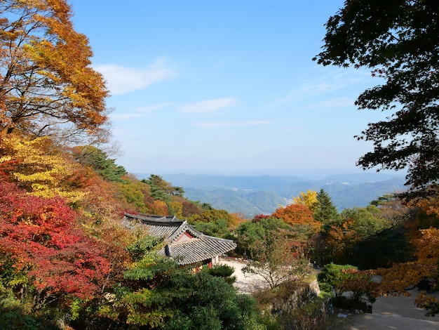 Seokguramgrotentempel in de herfst.