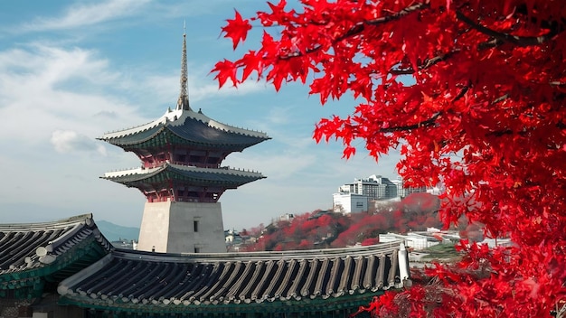 Photo seoul tower with gyeongbokgung roof and red autumn maple leaves at namsan mountain in south korea