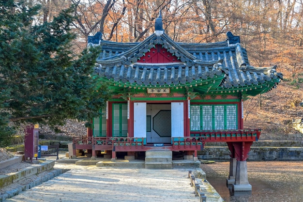 SeoulSouth Korea 1122020 Changdeokgung is the best preserved of the quotFive Grand Palacesquot of the Joseon Dynasty This picture is from the secret garden Huwon behind the palace in Seoul Korea