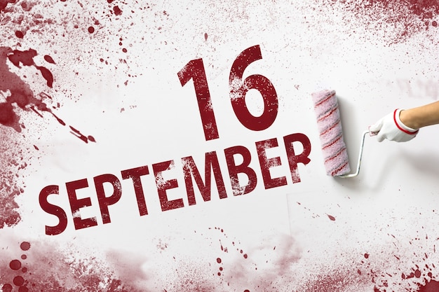 9月16日。月の16日目、カレンダーの日付。手は赤いペンキでローラーを保持し、白い背景にカレンダーの日付を書き込みます。秋の月、年の日の概念。