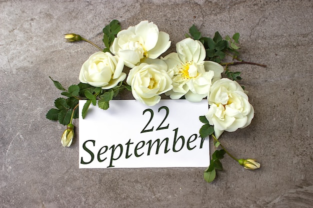 写真 9月22日。月の22日、カレンダーの日付。白いバラは、カレンダーの日付とパステルグレーの背景に国境を接します。秋の月、年の日の概念。