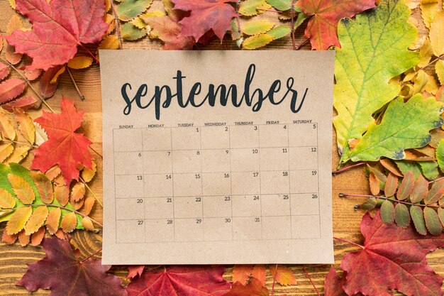 Photo september calendar sheet with multiple autumn leaves of red, yellow and green color