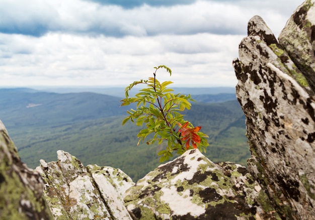 September in the mountains of the South Urals.