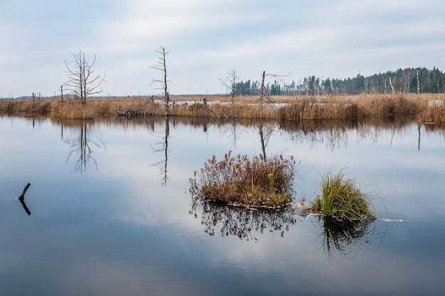 Sereen ochtendlandschap met weerspiegeling van bewolkte lucht op het wateroppervlak