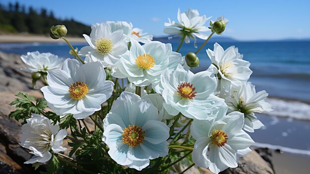 Serene anemone meadow