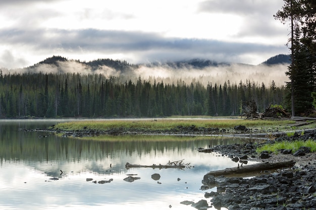 Photo serene beautiful lake in morning mountains, oregon, usa.