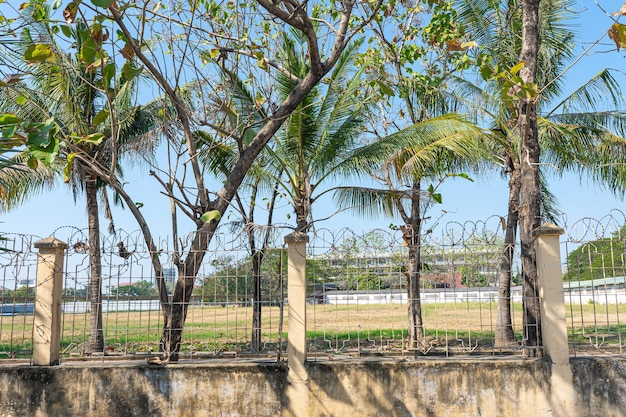 カンボジアの水辺の木のフェンスとパームの木でやかな庭園の風景.