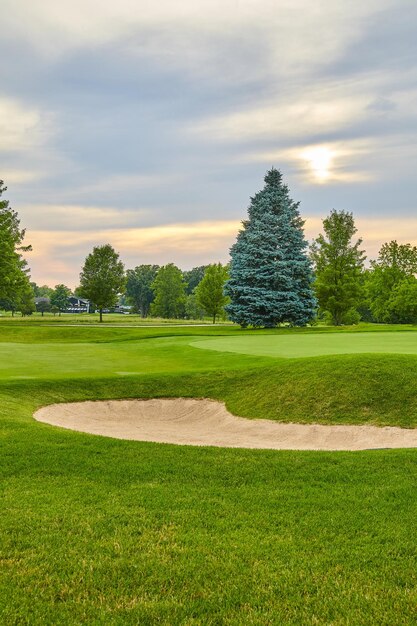 Serene Golf Course with Blue Spruce and Sand Bunker at Sunset