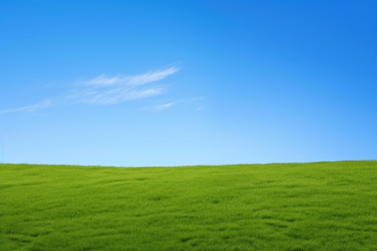 Photo serene grassy field under sky