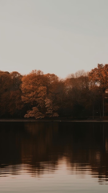 A serene lake a forest in autumn dark evening image generative AI