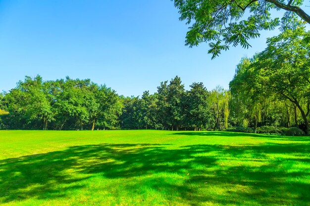 写真 緑 の 茂る 樹木 が 茂っ て いる やかな 公園 の 景色