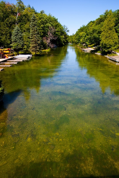 Serene River View met boten en groen in Empire Michigan
