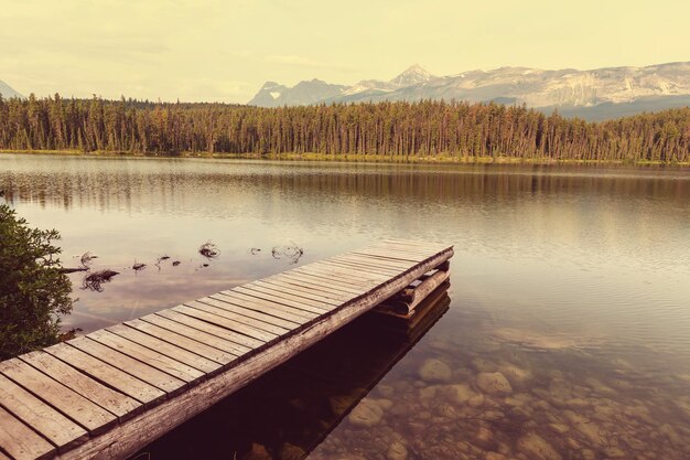 カナダの湖のほとりの穏やかなシーン