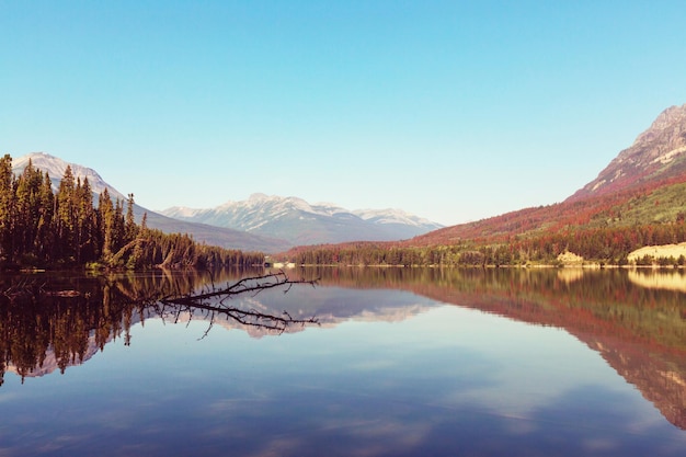 Спокойная сцена у озера в Канаде