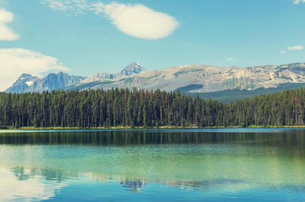 カナダの湖のほとりの穏やかなシーン