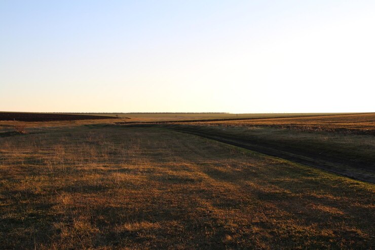 Photo serene sunset field