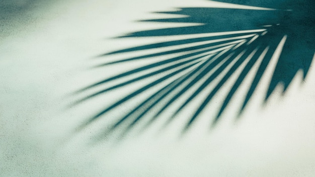 serene teal palm shadow on beige wall