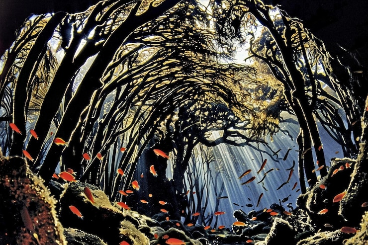 Photo a serene underwater ecosystem featuring vibrant fish and enchanting light filtering through lush submerged trees