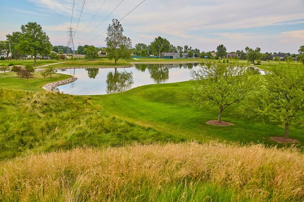 Serene voorstedelijke park met reflectieve vijver en weelderig gras