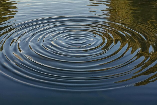 夕暮れ の 時 の やか な 水 の 波動