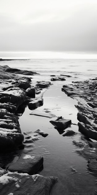 Serene Winter Aerial Photography Of Wetland And Rocky Beach