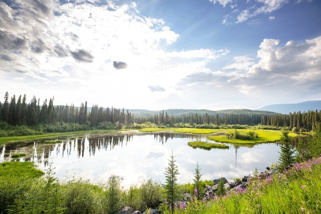 Sereniteitsmeer in de toendra van Alaska