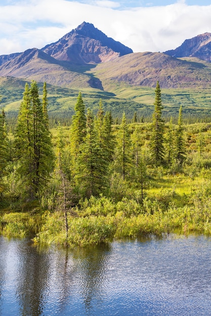 Sereniteitsmeer in de toendra van Alaska