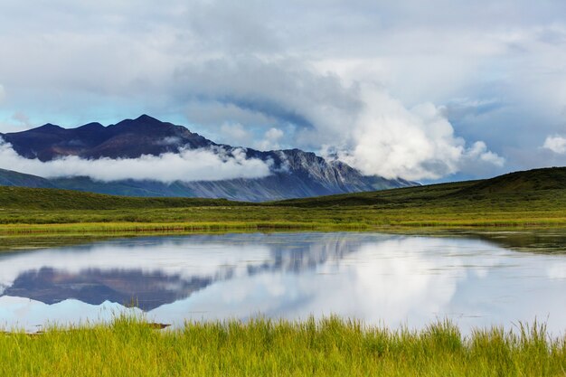 Lago di serenità nella tundra dell'alaska